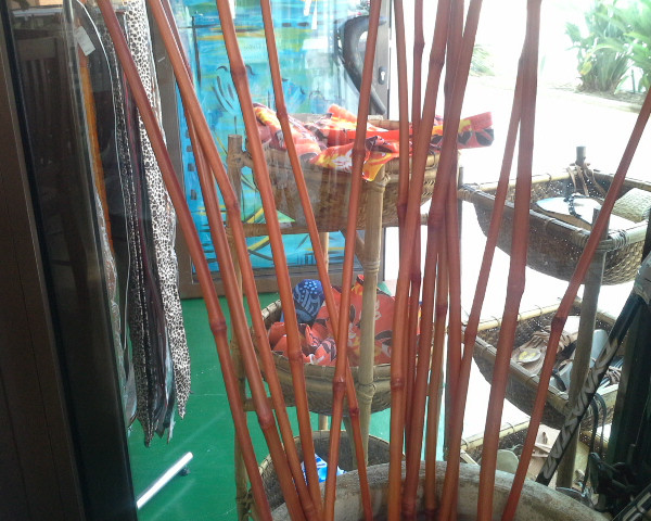 Bambu de coracio-1