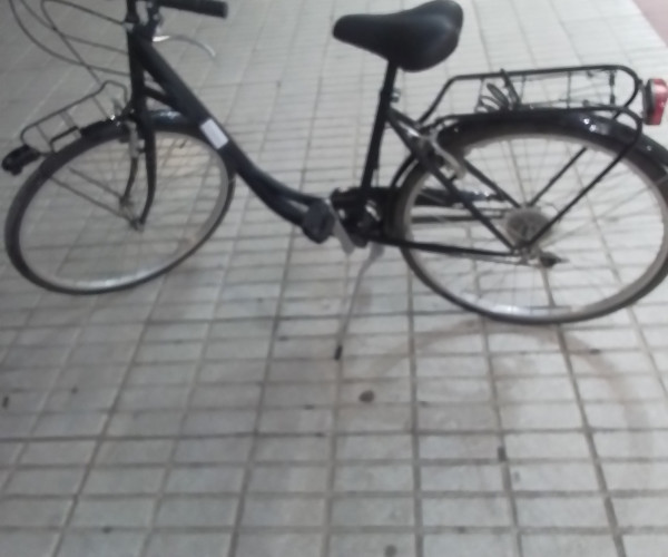 Bicicleta-1