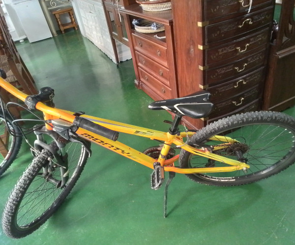 Bicicleta-1