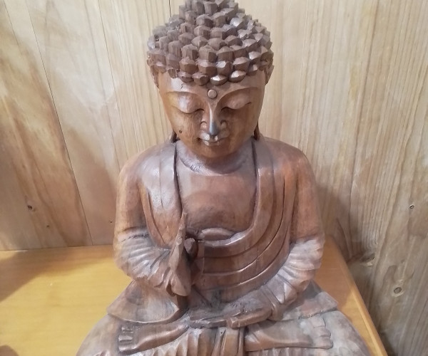 Buda meditacion-1