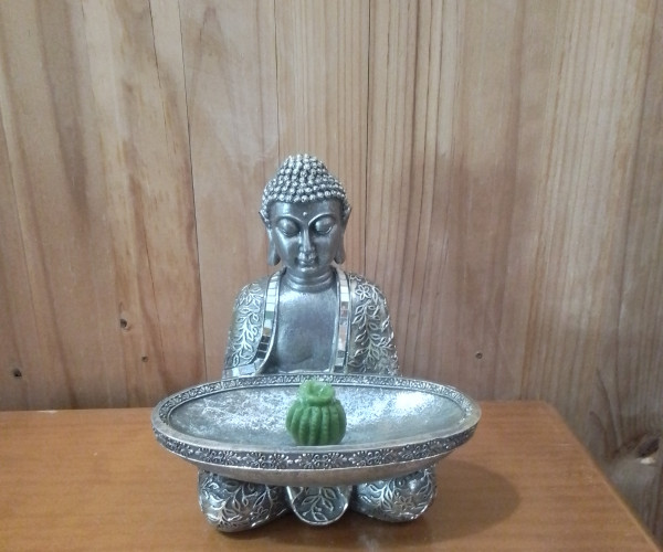 Buda-1